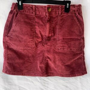 American Eagle Rose Corduroy Stretch Mini Cotton blend Skirt